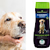 25 Best Shampoos for Golden Retrievers in the U.S.